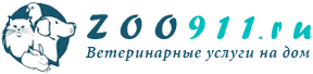 Логотип компании