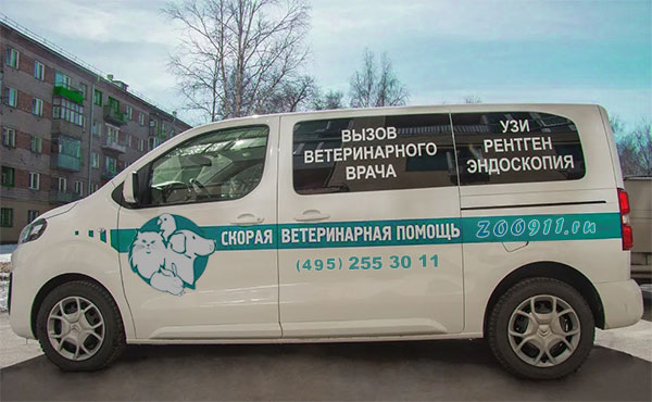 Минивен вызов ветеринара на дом